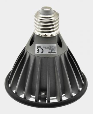 10 Watt Par 30 Cob Led Ampul